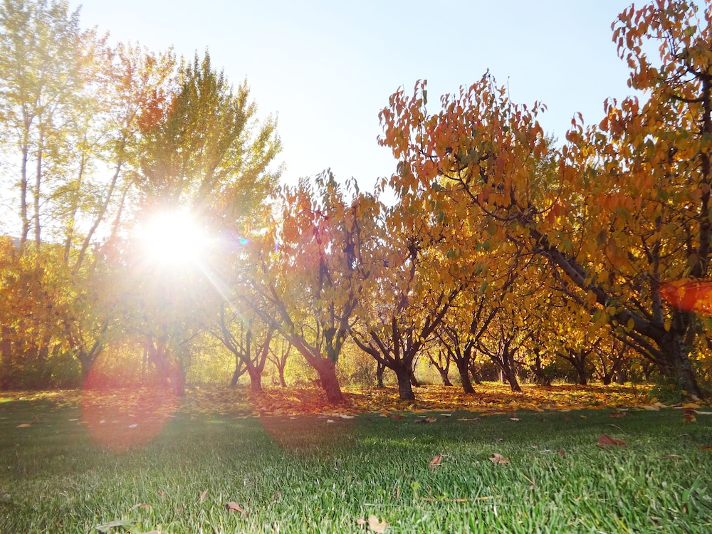 Warm Springs Inn & Winery - photo 87