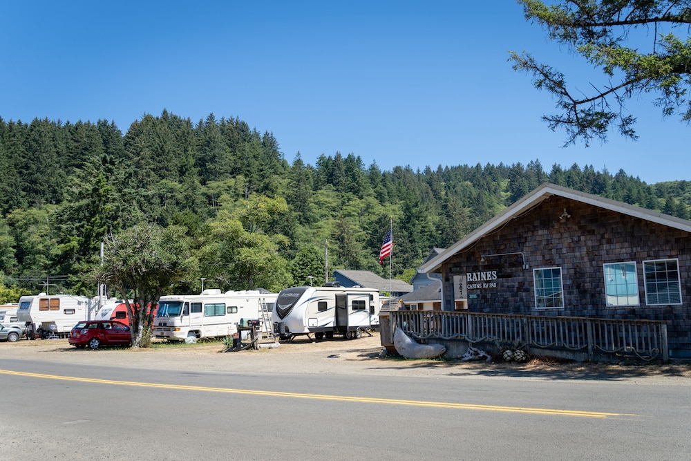 Raines Resort Cabins & RV - photo 95
