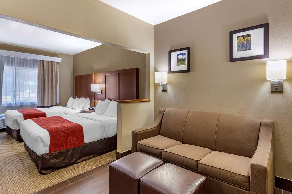 Comfort Suites Fort Collins Near University - photo 6