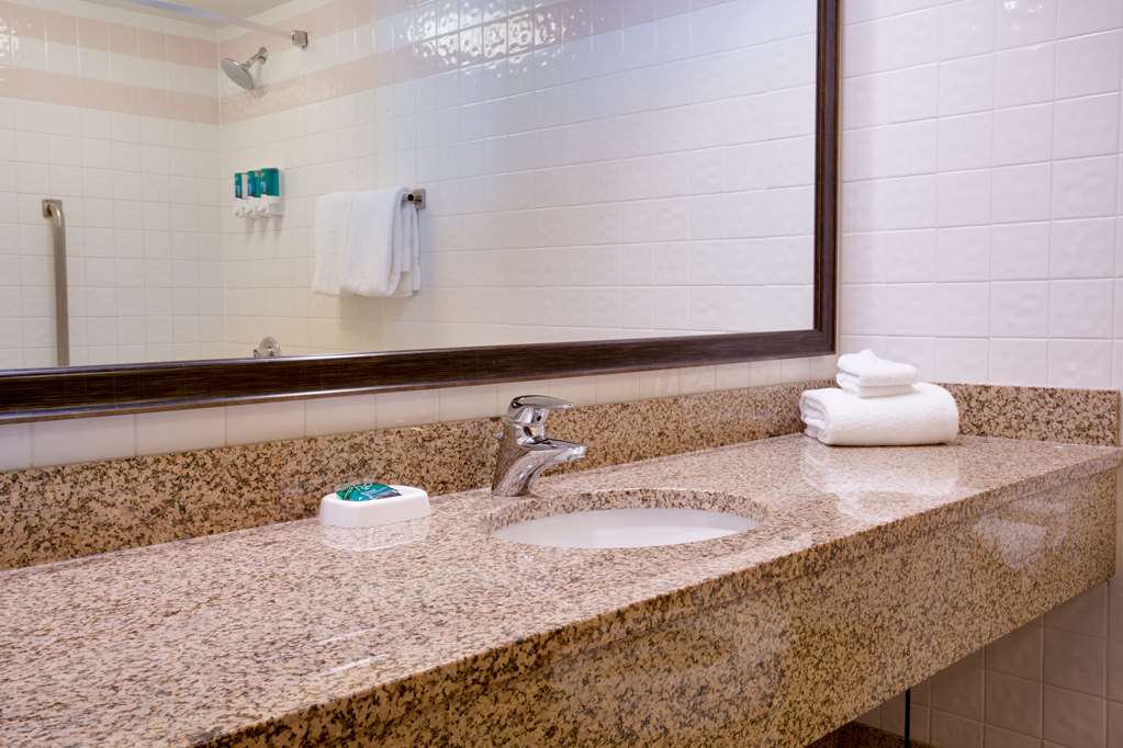 Pear Tree Inn St. Louis Convention Center - photo 19