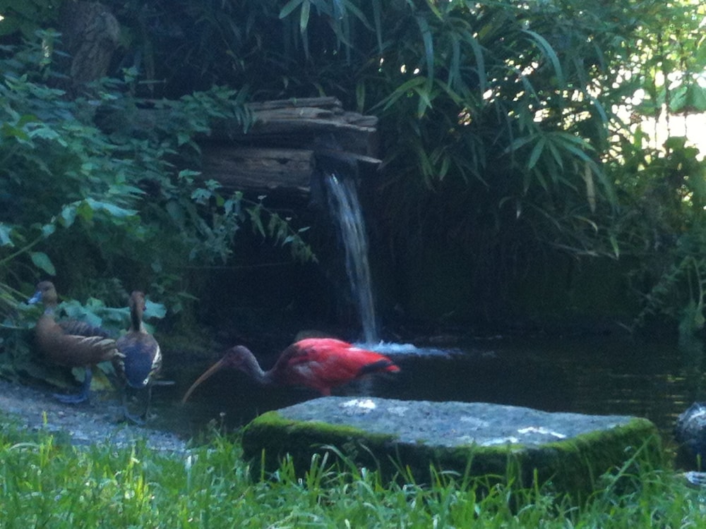 Children's activities