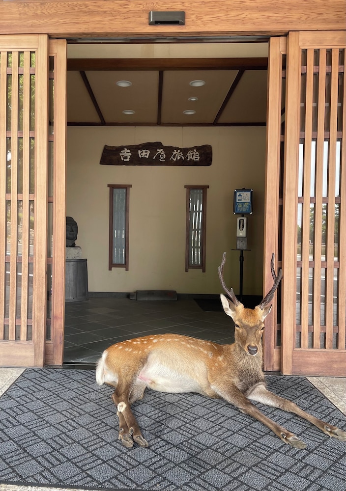Sarusawaike Yoshidaya in Nara-Shi, Japan