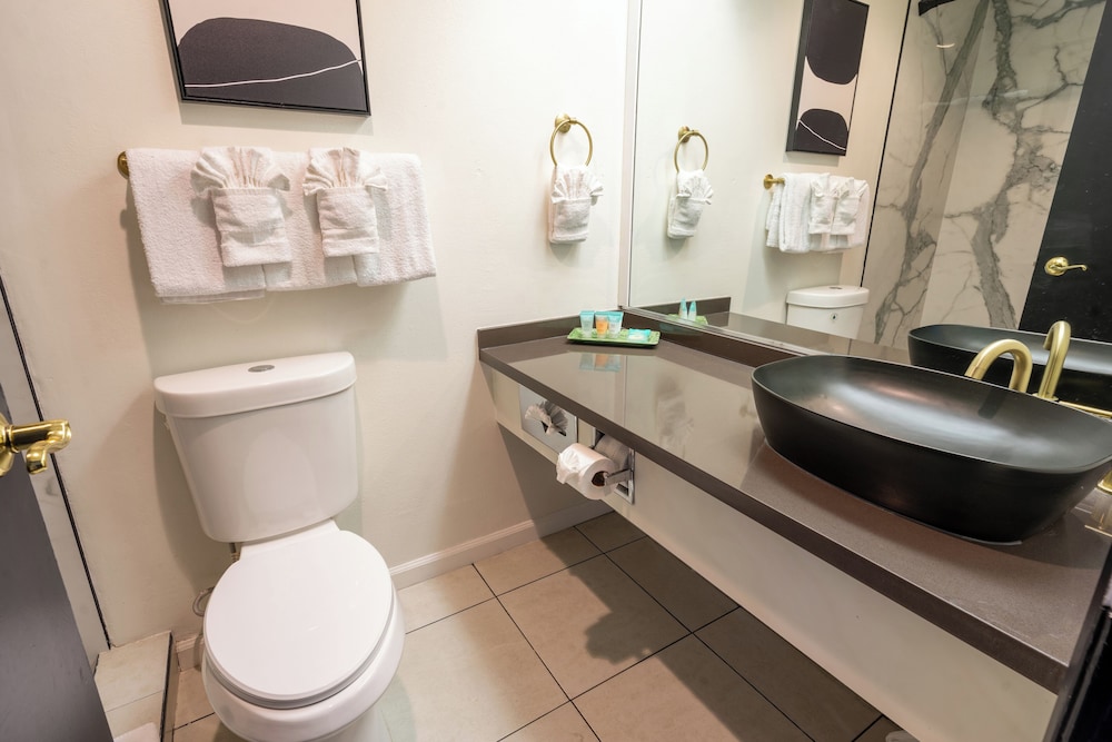 Sands Inn & Suites - photo 42