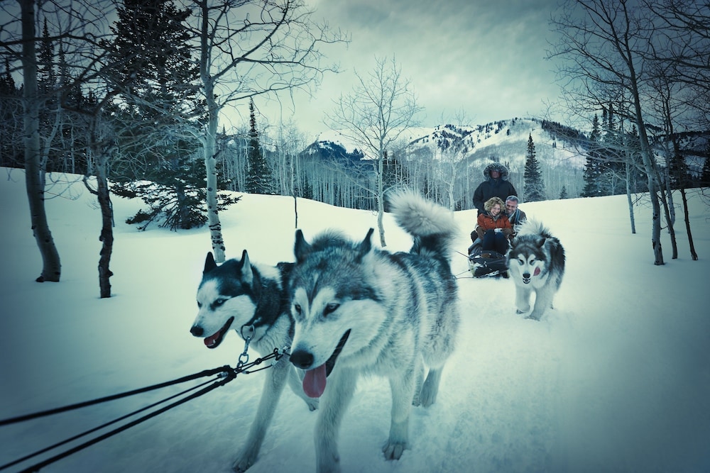 Waldorf Astoria Park City - photo 107