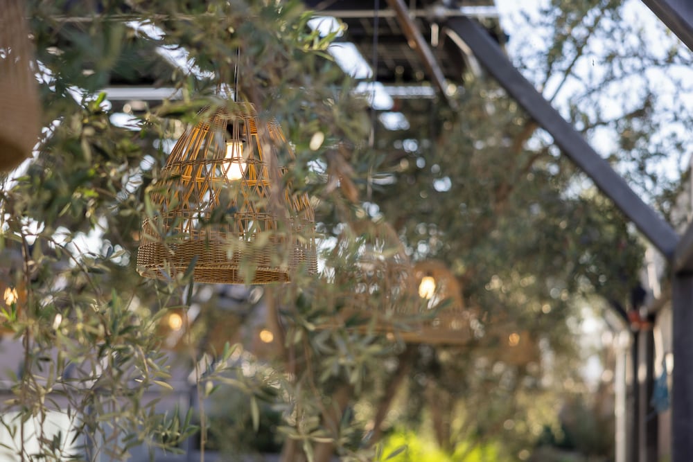Whisky Hotel - photo 23