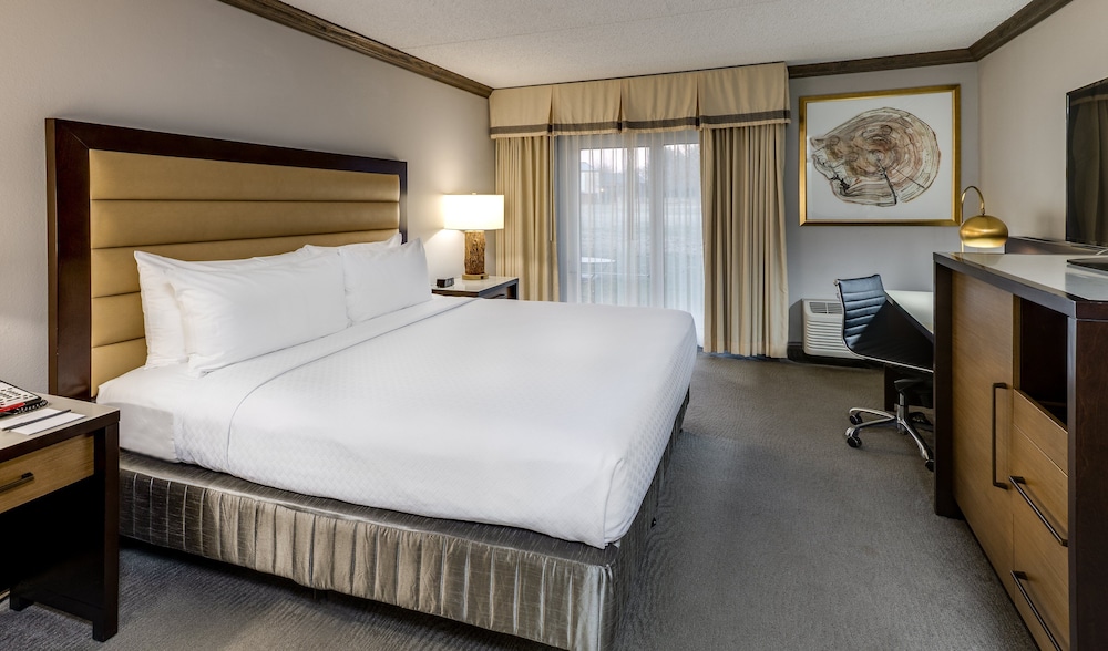 Crowne Plaza Resort Asheville by IHG - photo 24