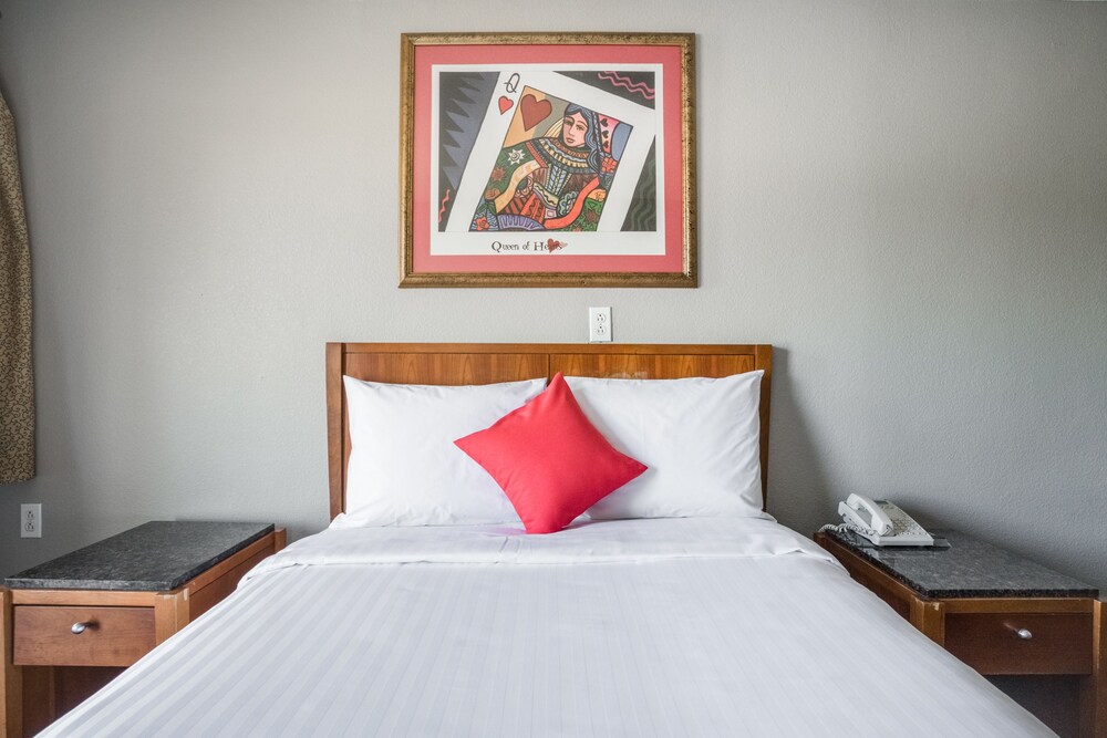 OYO Inn Dallas South - photo 7