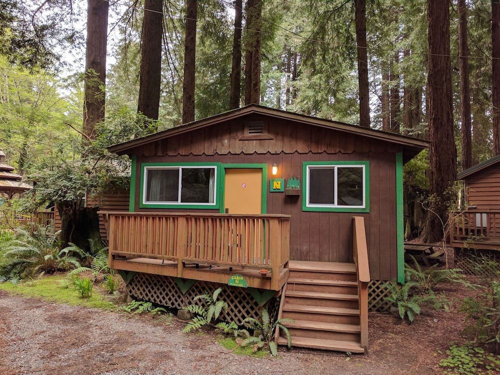 Emerald Forest Cabins - photo 99