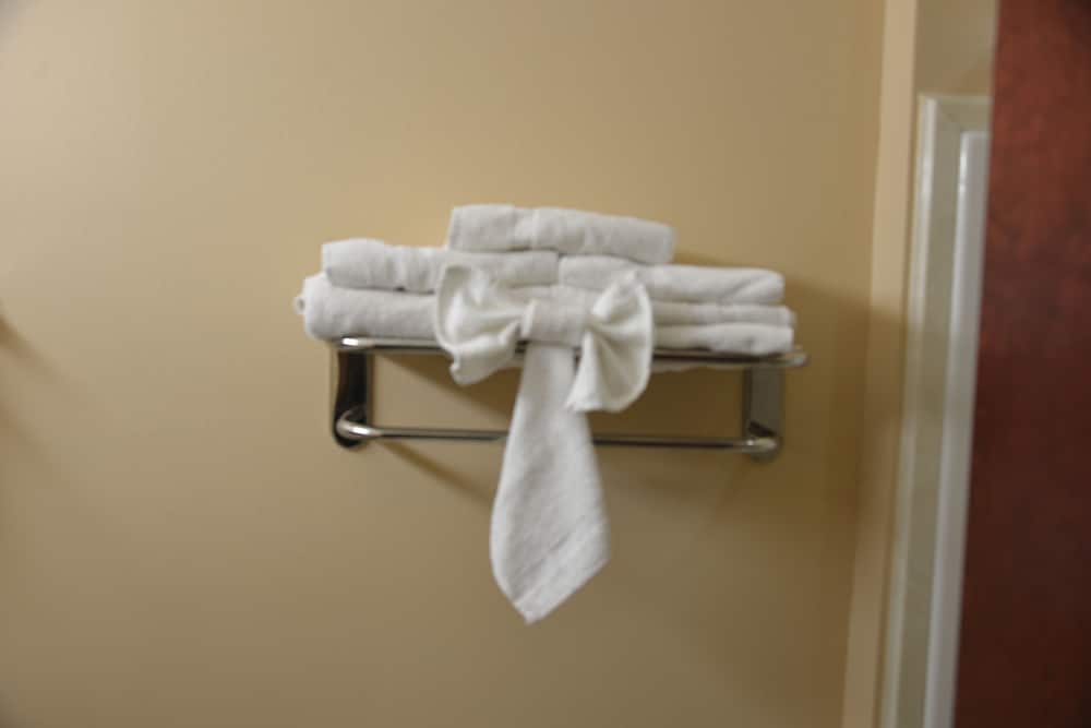 Irish Inn And Suites - photo 8