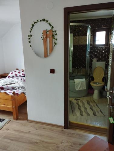 Cabana Dănuțza — Arieseni — photo 2
