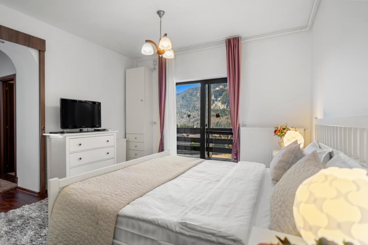 Mountain View Gem — hotel in Busteni