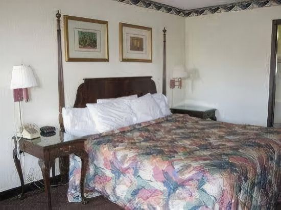 Regency Inn Of Naperville - photo 19