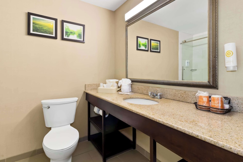 Comfort Suites Lumberton North - photo 6