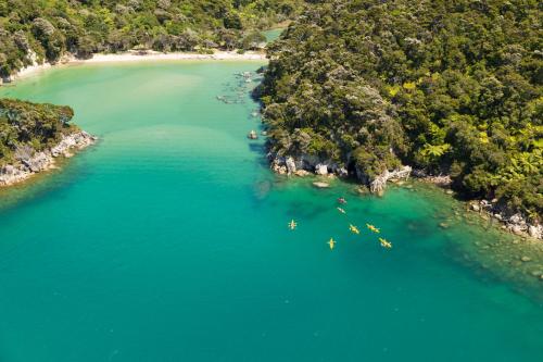 Milcrest Estate in Nelson, New Zealand