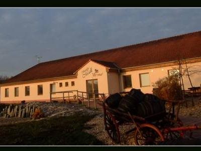 Hotel Mádl in Velke Bilovice, Czech Republic