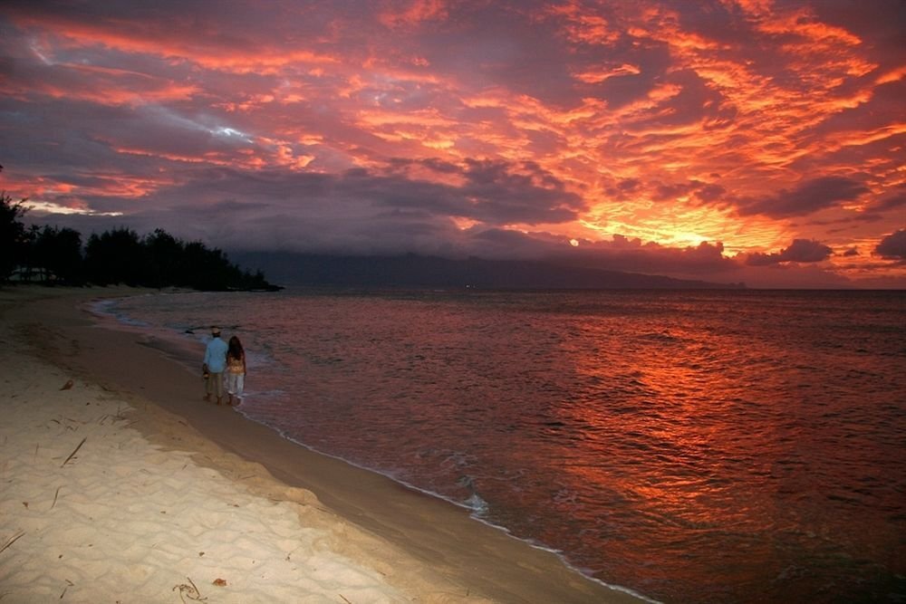 Maui Beachcomber - photo 3