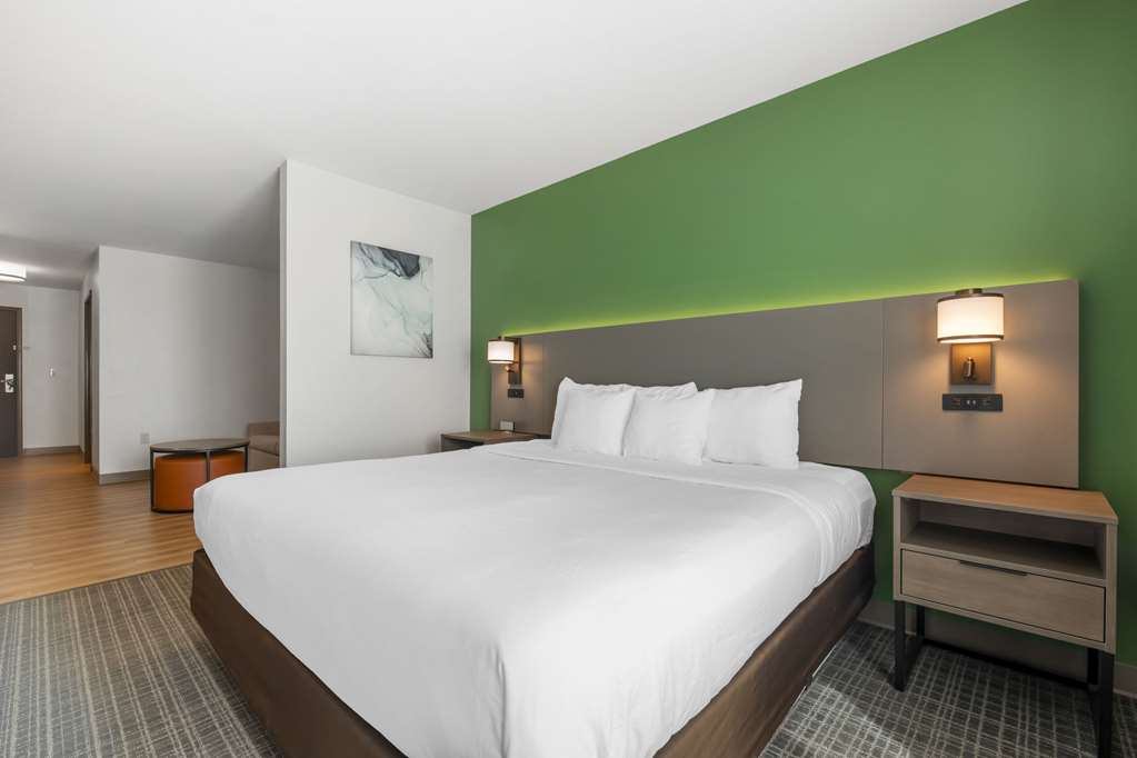 Comfort Suites Conference Center Rapid City - photo 19