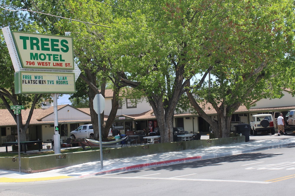 Trees Motel - photo 42