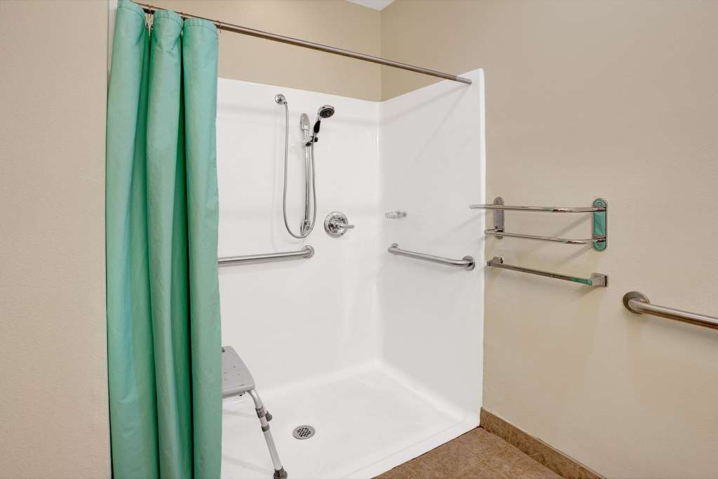 Microtel Inn & Suites by Wyndham Indianapolis Airport - photo 4