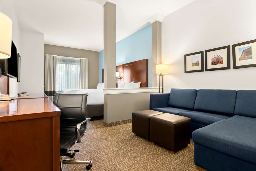 Comfort Suites Rensselaer near Fair Oaks - photo 29