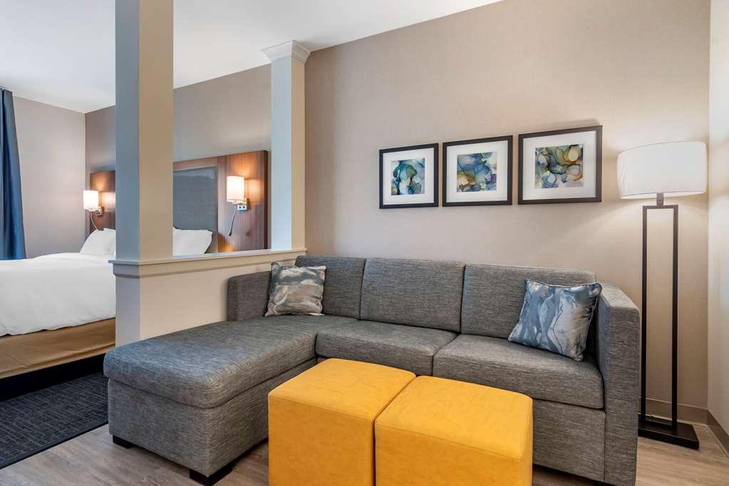 Comfort Suites Grandview Kansas City - photo 12