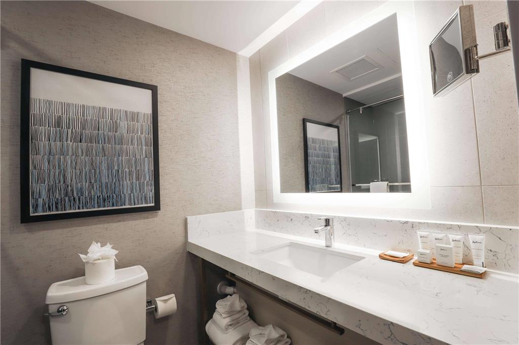 Radisson Plaza Hotel at Kalamazoo Center - photo 35