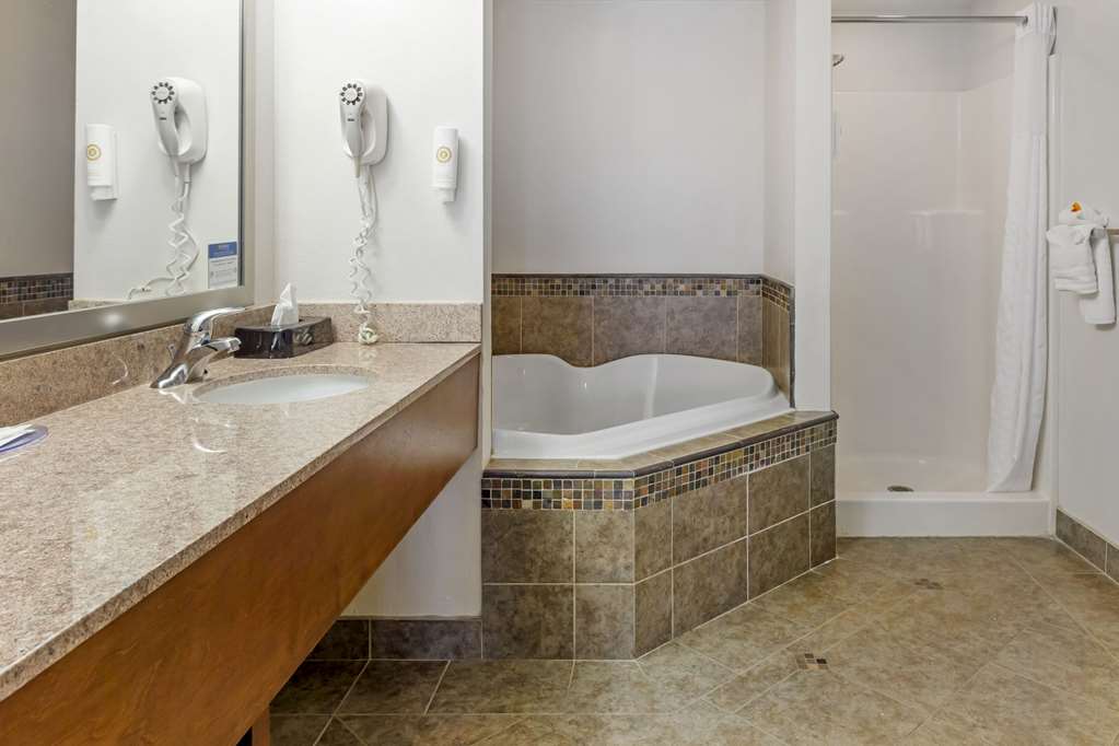 Comfort Suites Inn at Ridgewood Farm - photo 12