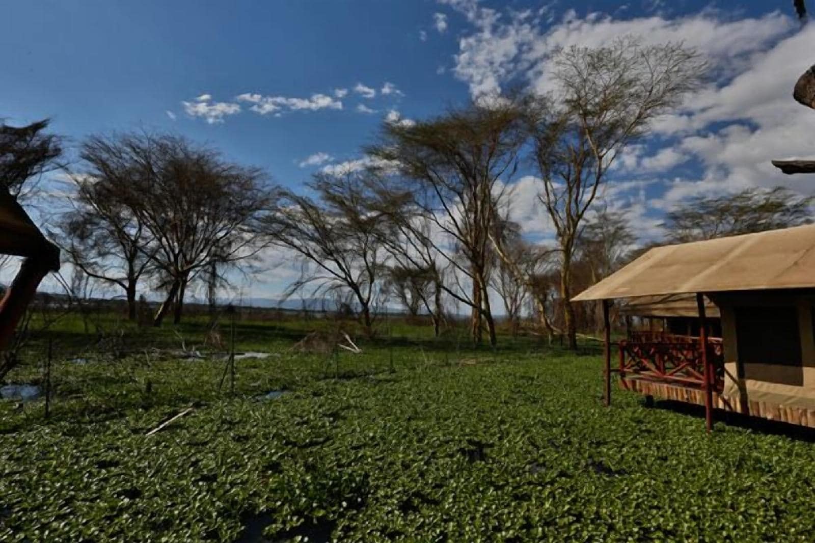 Kiboko Luxury Camp — 4-Star Luxury Hotel in Naivasha, Kenya