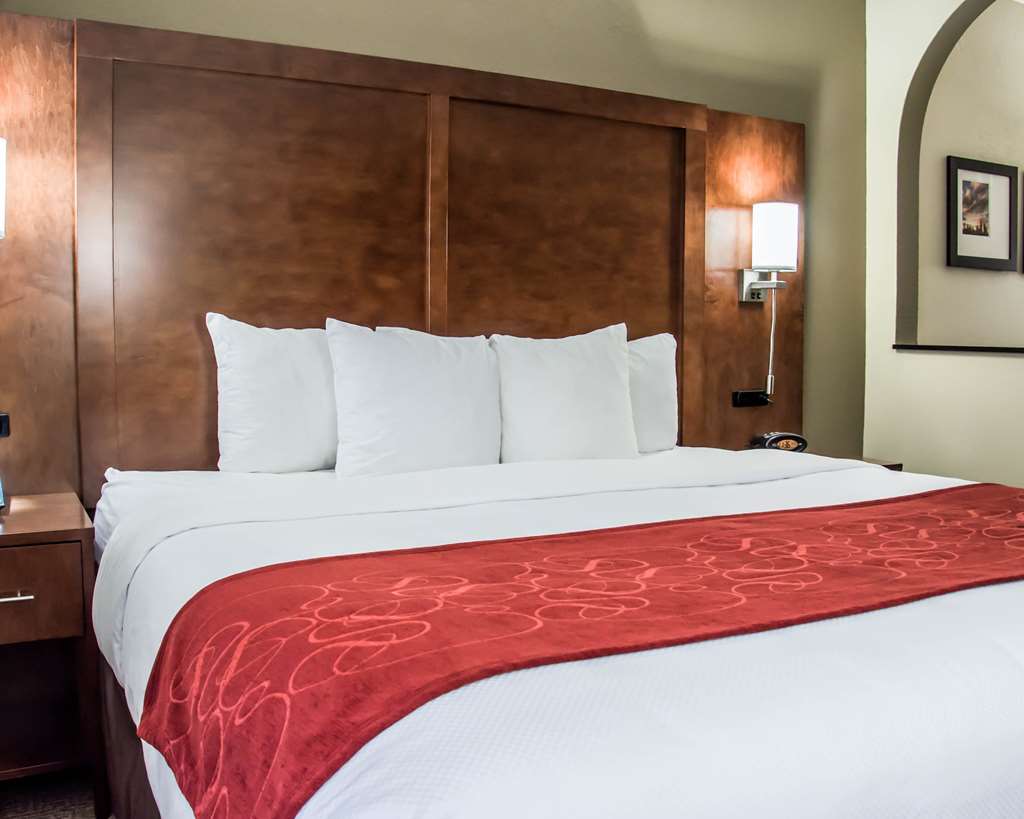 Comfort Suites University Research Park - photo 13