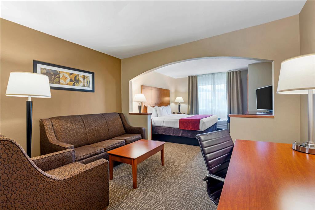 Comfort Suites North Dallas - photo 17