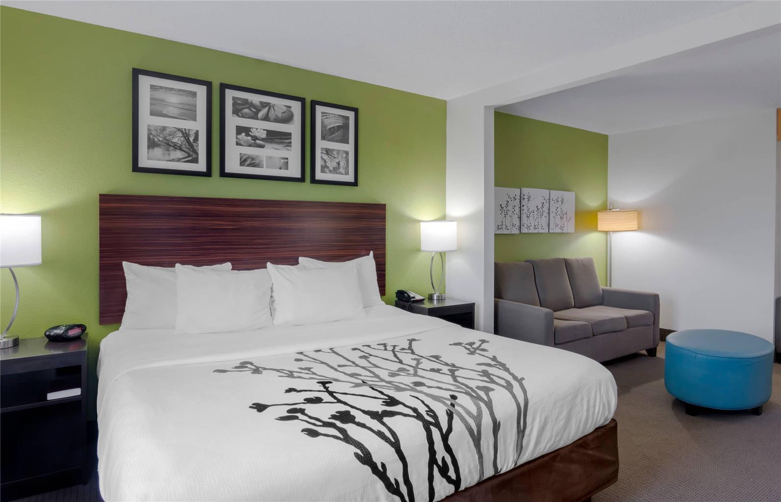 Sleep Inn & Suites Prince George near Fort Lee - photo 15