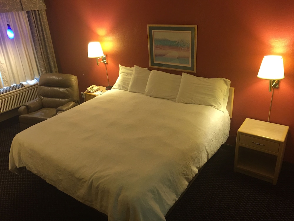 Americas Best Value Inn Garden City - photo 7