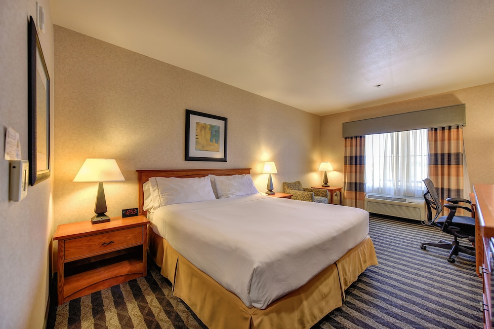 Holiday Inn Express Hotel & Suites Manteca by IHG - photo 10