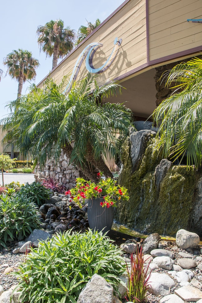 San Clemente Inn - photo 101