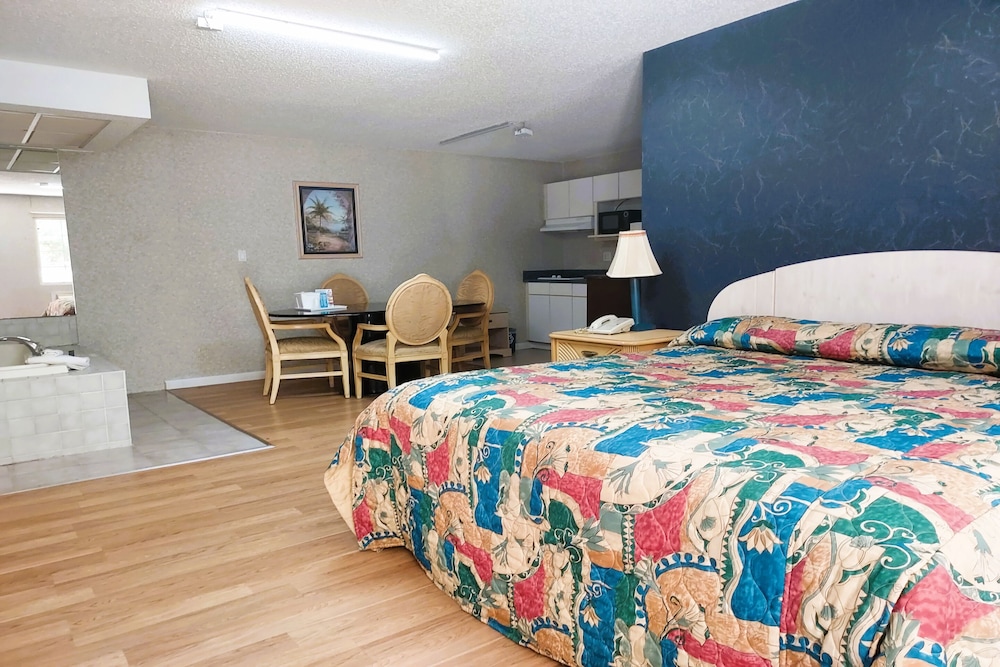 Studio Inn & Suites - photo 21