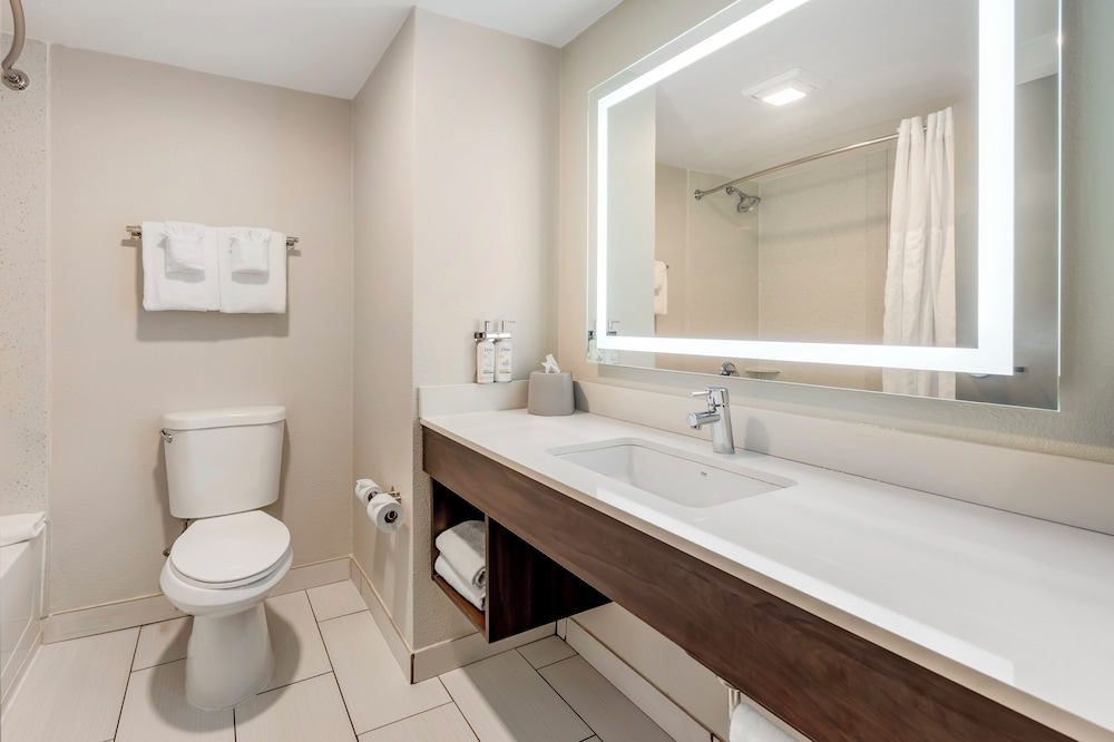 Holiday Inn Express & Suites Nashville Southeast Antioch by IHG - photo 28