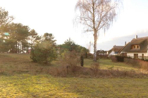 Fewo 4 Reetdachhaus Diplomatenweg 1 Fewo cc in Loddin, Germany