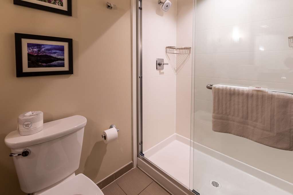 Comfort Suites Denver near Anschutz Medical Campus - photo 31
