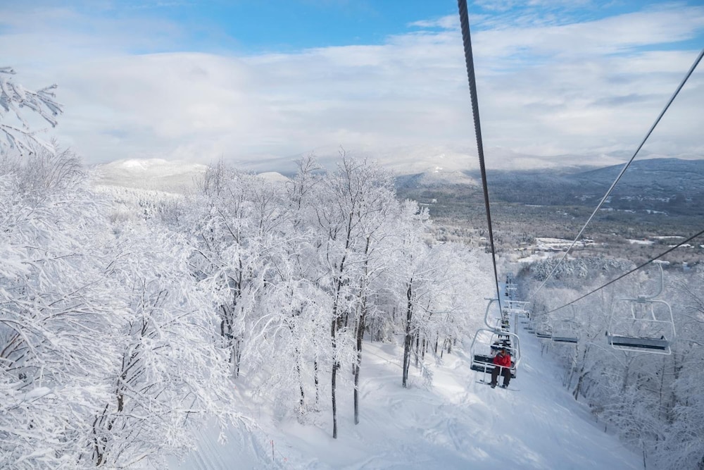 Snow Cap Inn - photo 14