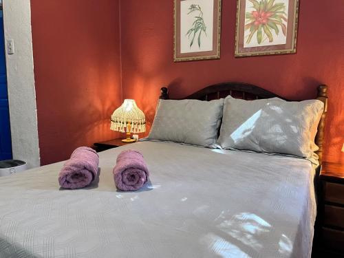 Chalé Gaia Hospedagem Itatiaia in Itatiaia, Brasil