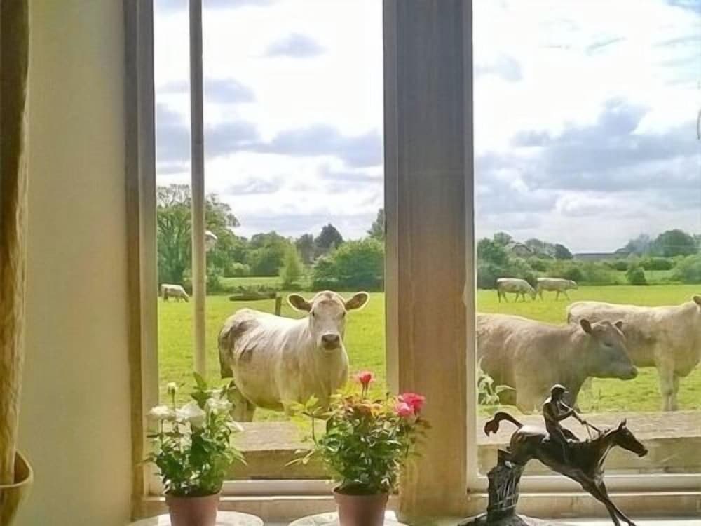 Battens Farm Cottages B&B and Self catering Accommodation — 4-Star Luxury Hotel in Chippenham, United Kingdom