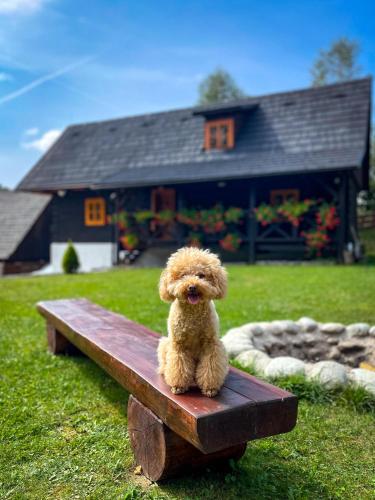 Traditional deer Cabin with Sauna Chata Srňacie — 4-Star Luxury Hotel in Dolny Kubin, Slovakia