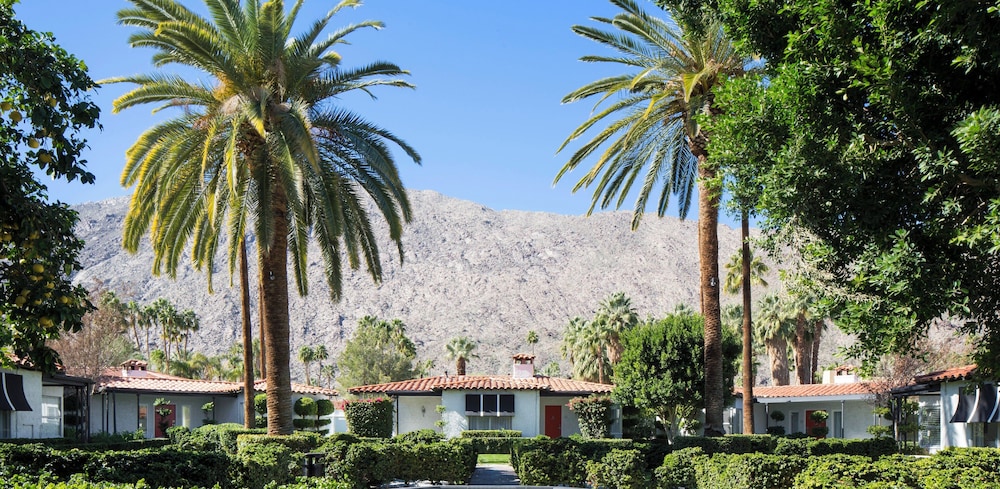 Avalon Hotel & Bungalows Palm Springs a Member of Design Hotels - photo 75