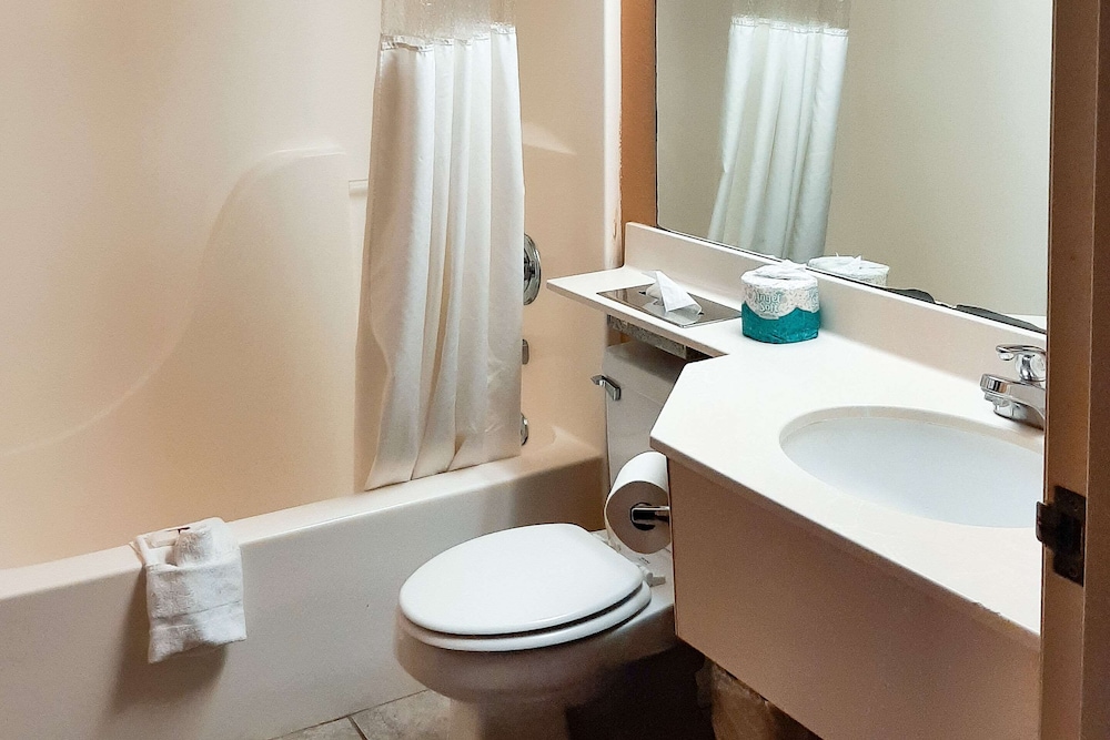 Starkville Inn & Suites - photo 24