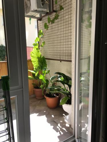 T2&T3 Apartments Levanto