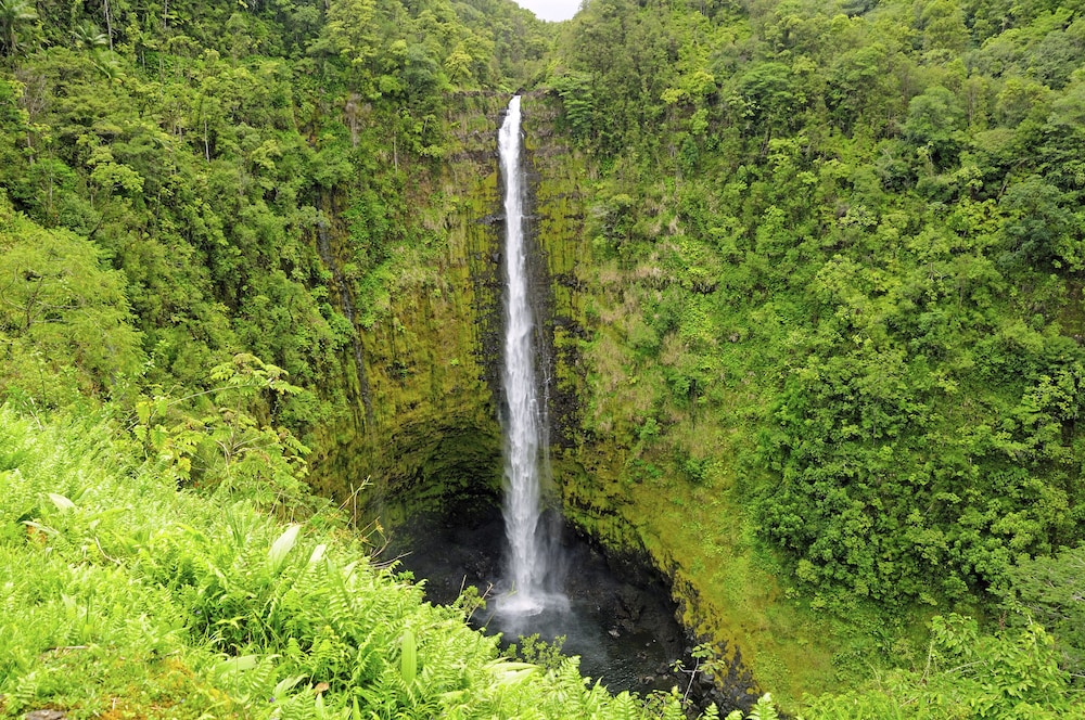 Scp Hilo Hotel - photo 54