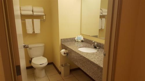 Reddy Hotel - photo 14