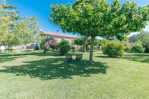 Mas de l'Olivier Enclave des Papes Visan 8 couchages — hotel in Visan
