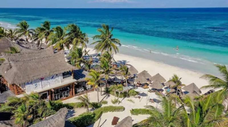 Alma De Flores — Tulum — photo 4
