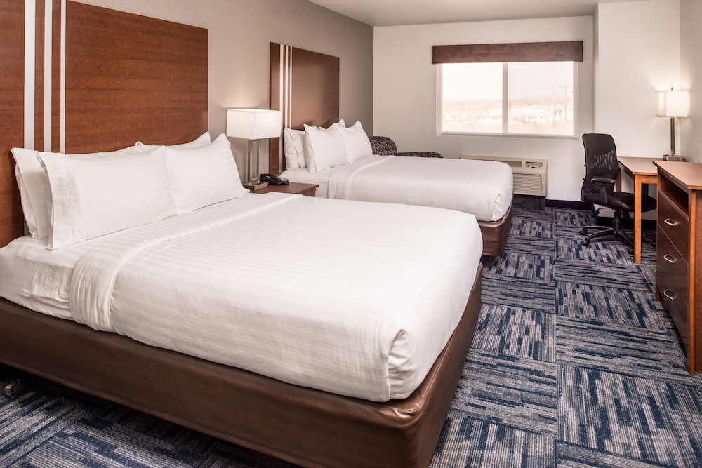 Holiday Inn Express Hotel & Suites Alamogordo Hwy 54 70 by IHG - photo 7